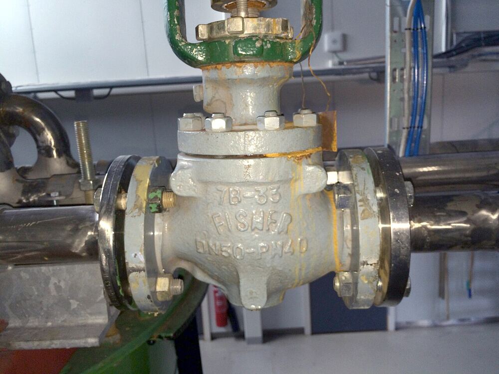 Globe control valve